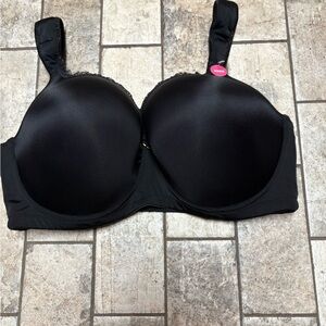NWT Ashley Stewart Butterfly Bra 40DD